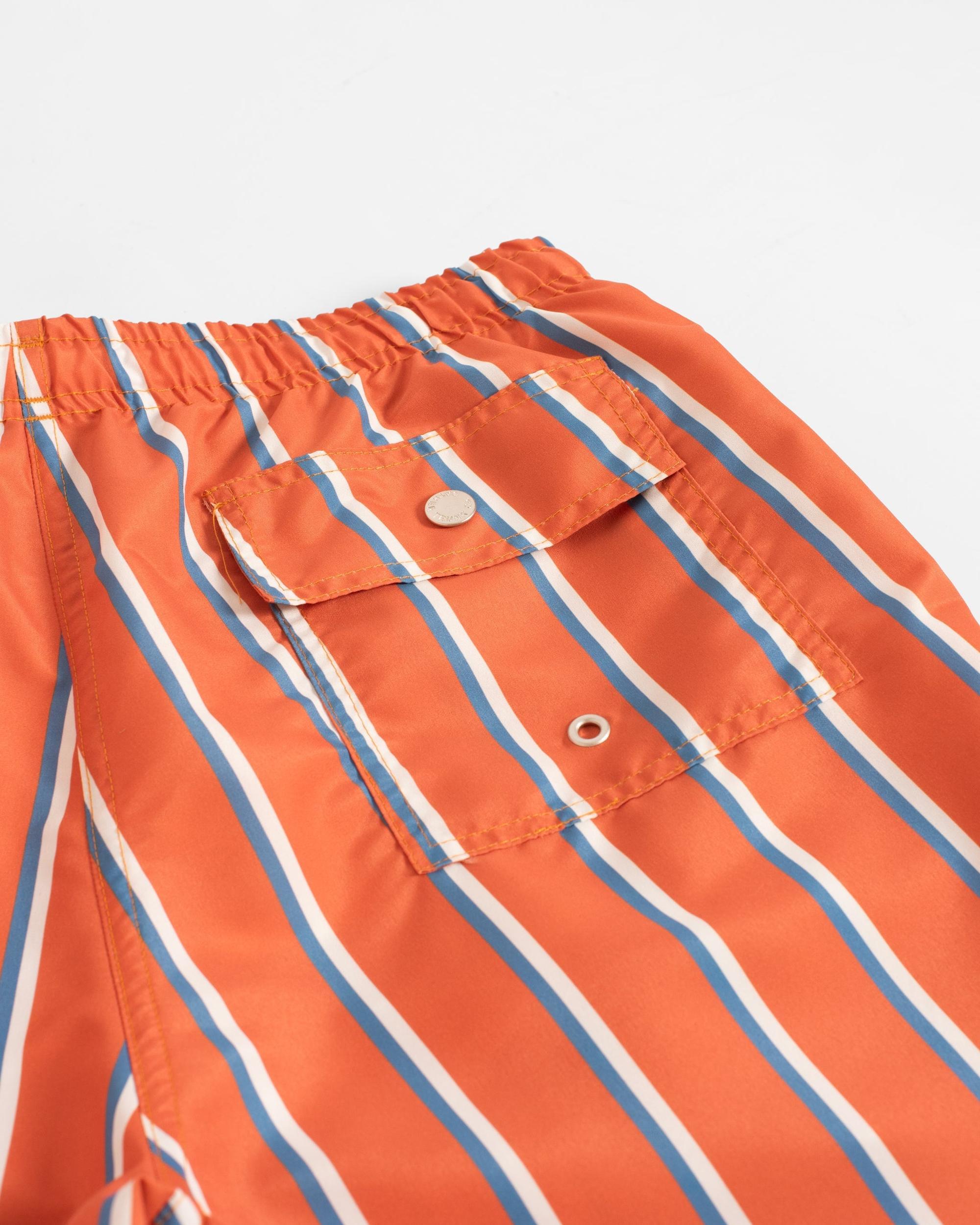 Blue & White Fine Stripe Swim Trunk Product Image