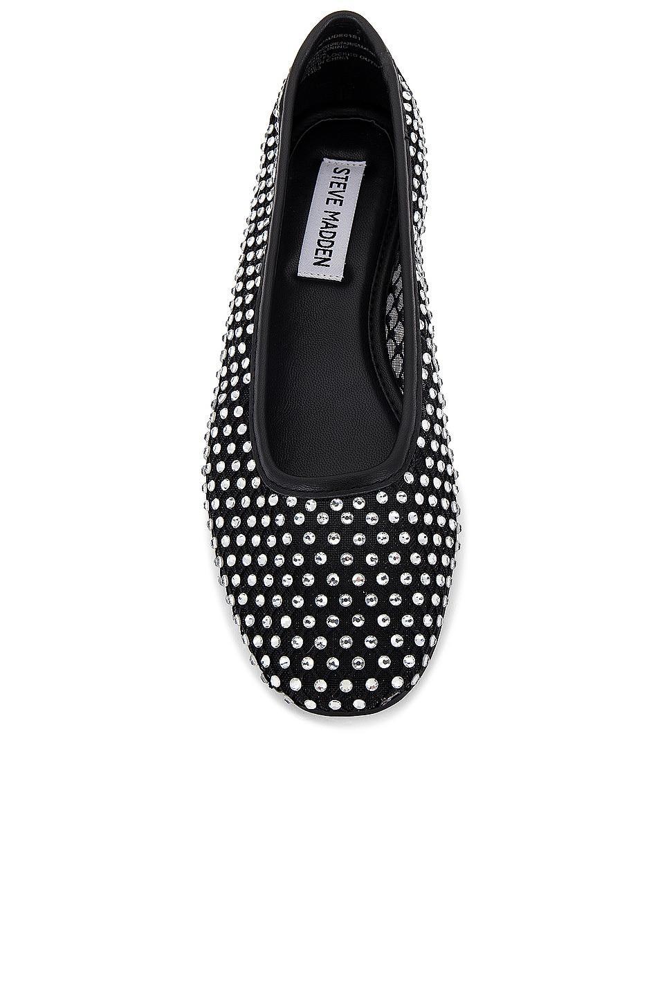 Ballet Flat Auden Steve Madden Product Image