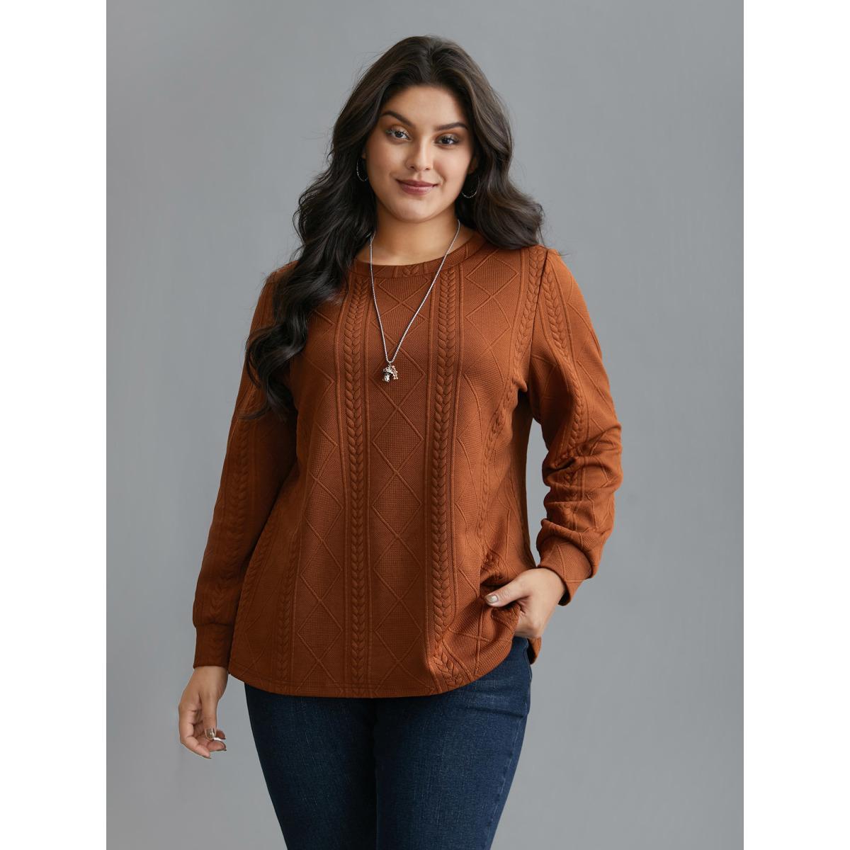 Plus Size Textured Round Neck Stretchy Sweatshirt Women Rust Casual Texture Round Neck Everyday Sweatshirts BloomChic 28/5X Product Image