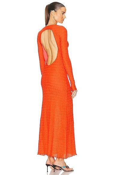 Lendi Maxi Dress SIEDRES Product Image