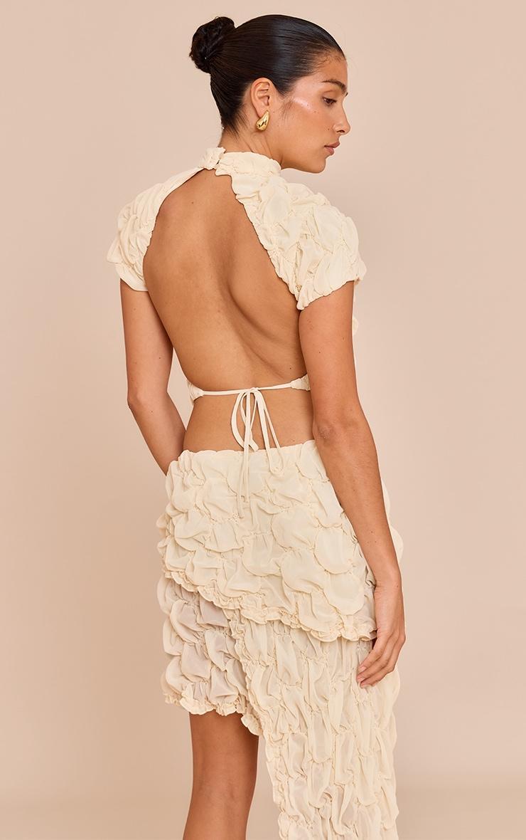 Petite Almond Textured Open Back Top Product Image