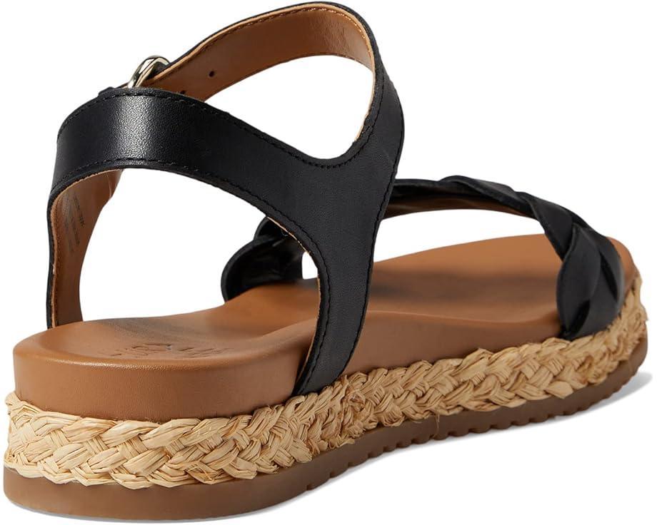 MSRP: $99.0055% OFF Product Image