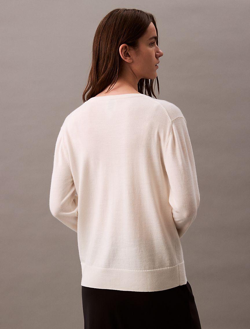 Extra Fine Merino Blend V-Neck Sweater Product Image