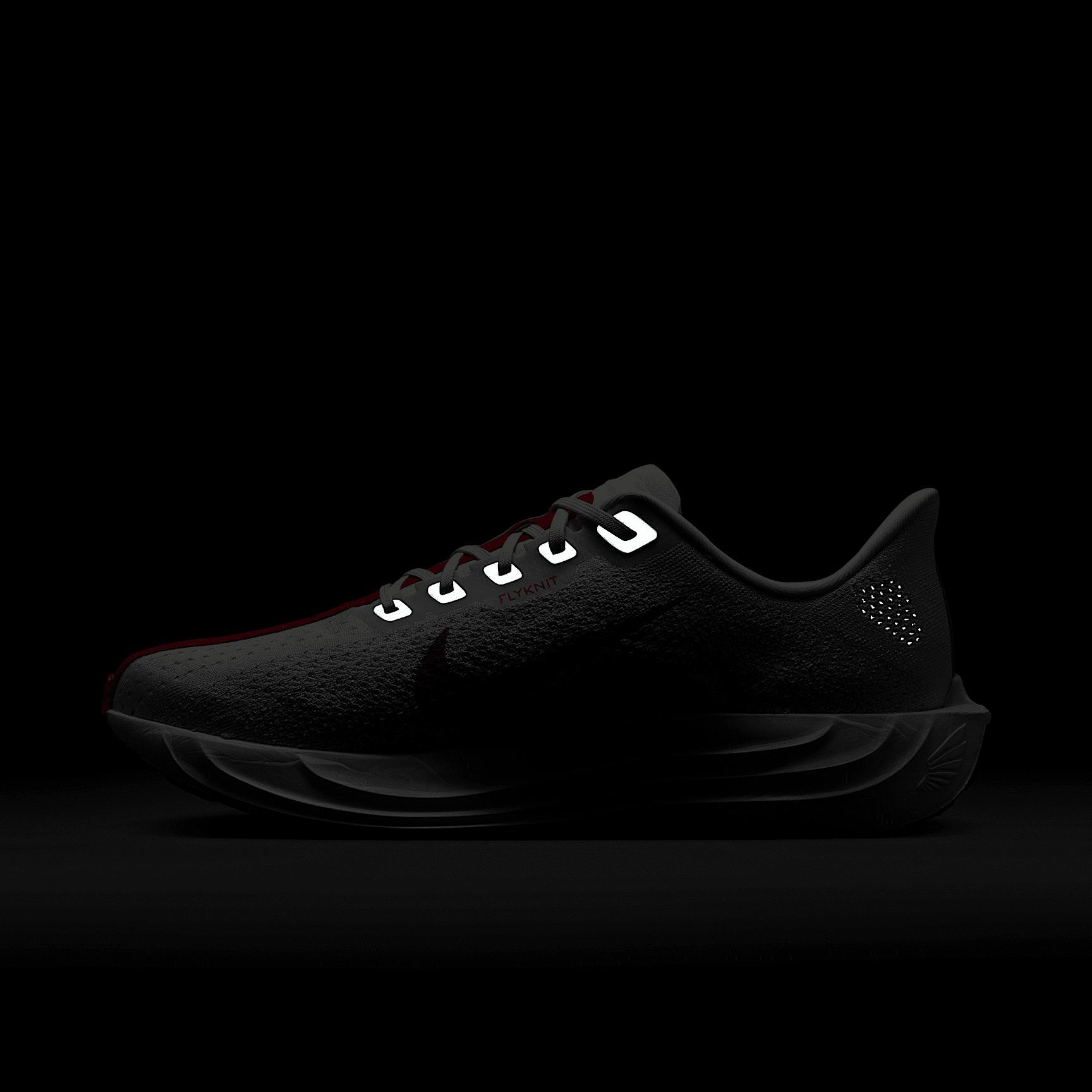 Nike Mens Pegasus Plus Road Running Shoes | FQ7262-003 Product Image