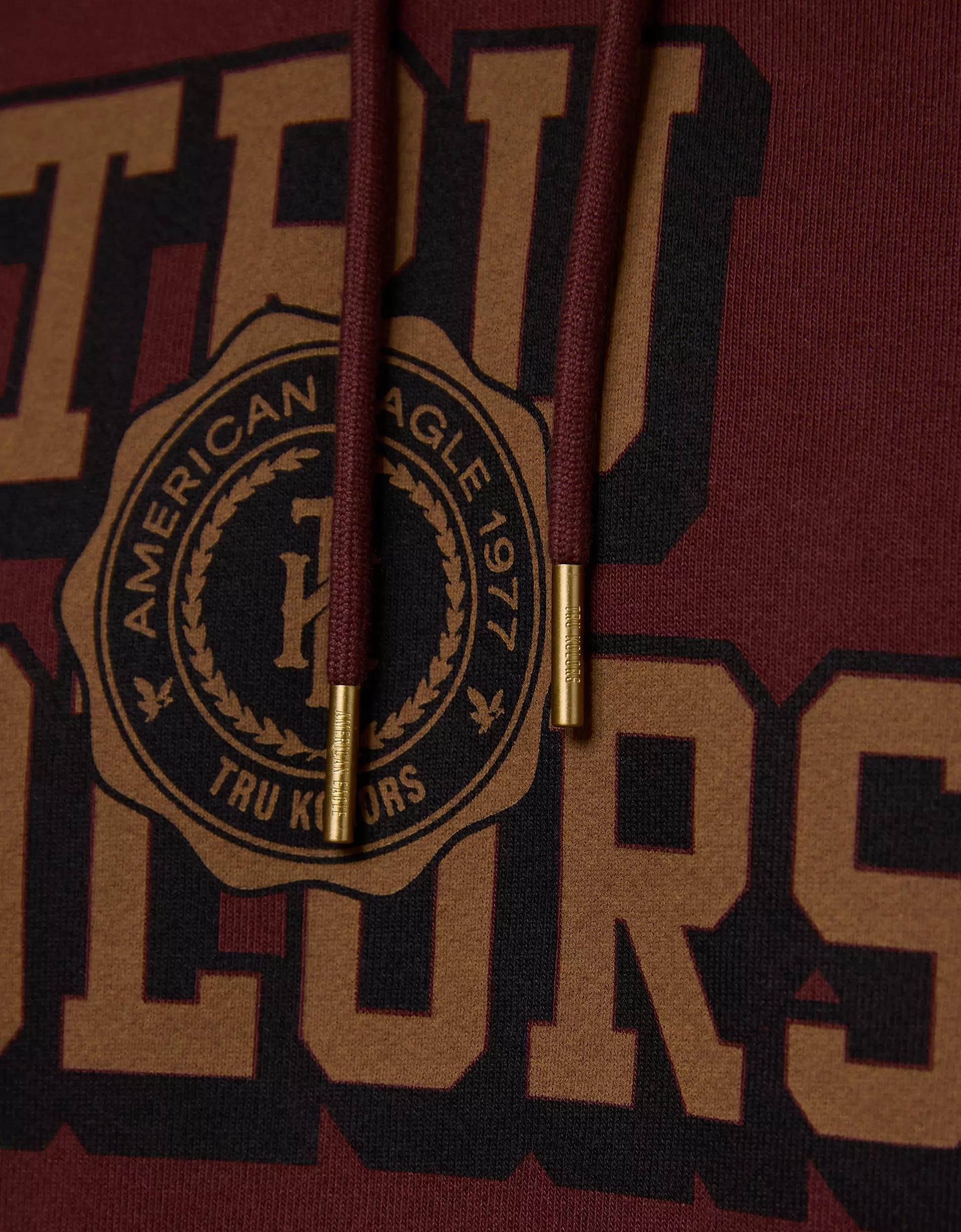 AE x Tru Kolors Heavyweight Graphic Hoodie Product Image