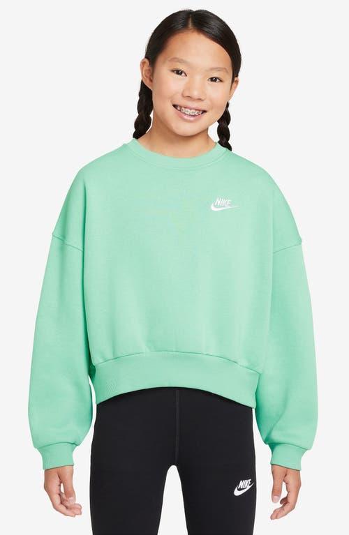 Nike Kids' Sportswear Club Fleece Crewneck Sweatshirt Product Image