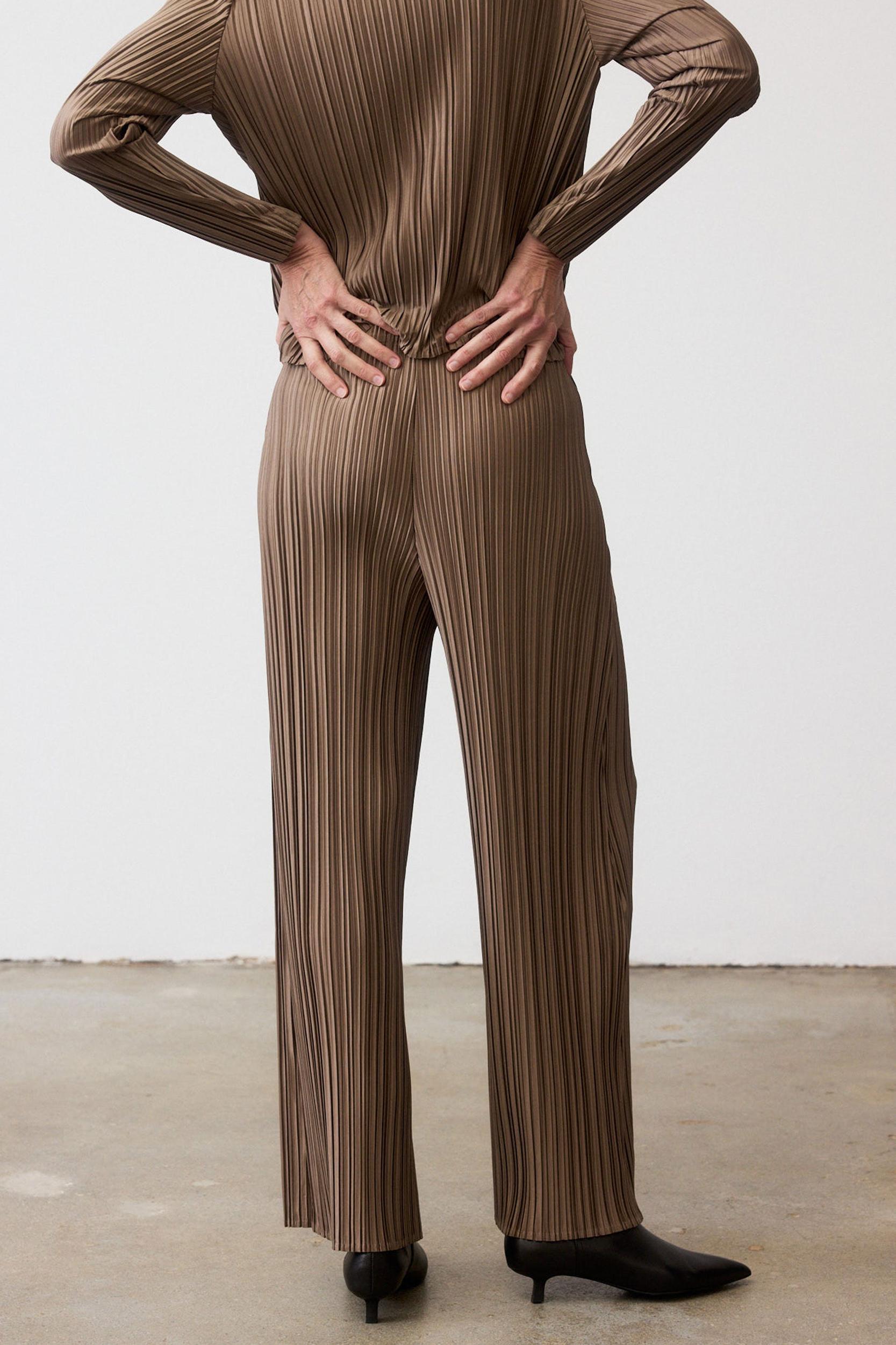 Relaxed Pleated Pants Product Image