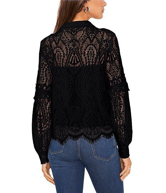 Vince Camuto Point Collar Long Bishop Sleeve Scalloped Hem Embroidered Lace Button Front Blouse Product Image