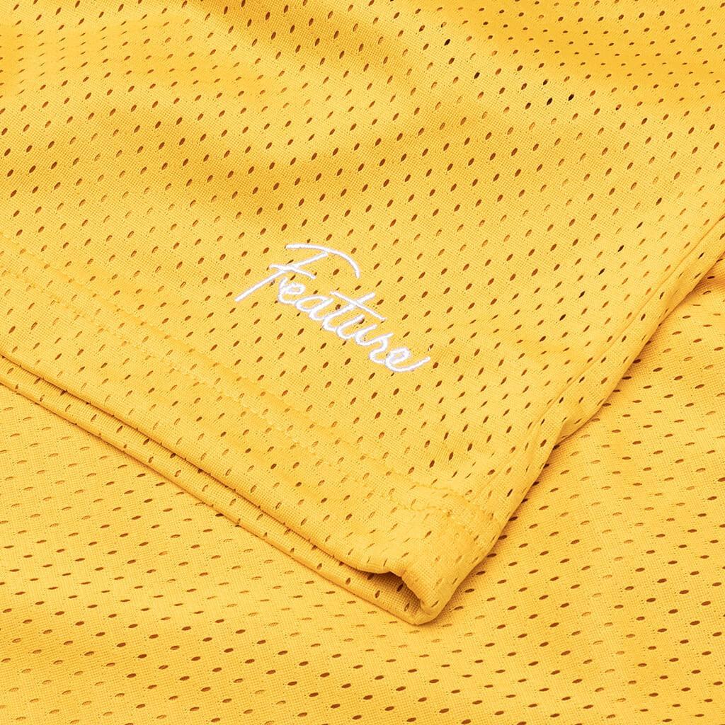 West Mesh Shorts - Purple Male Product Image