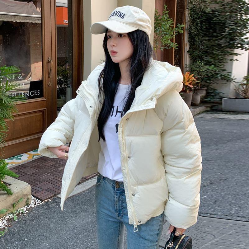 Plain Hooded Zip Puffer Jacket Product Image