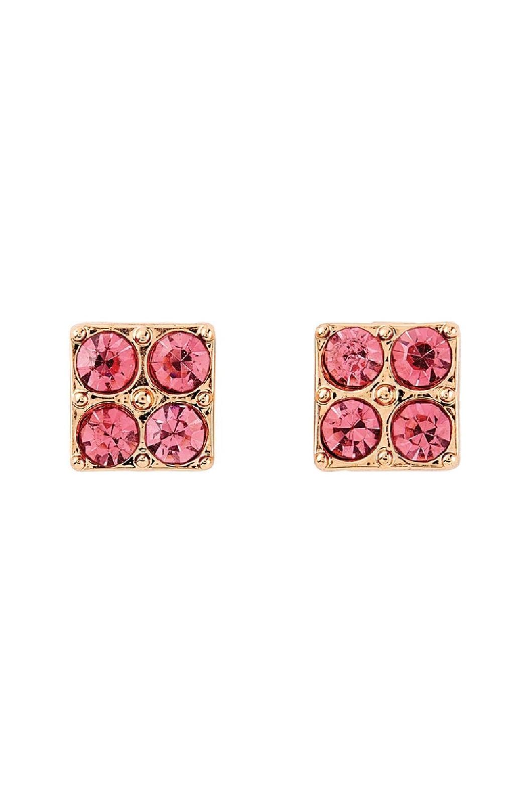 Treasure Box Earrings Product Image