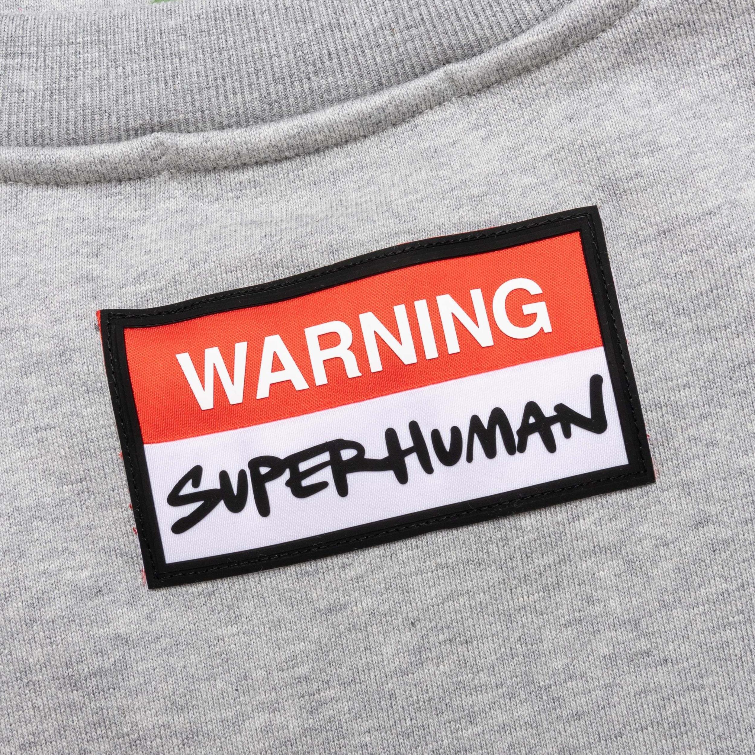 Oversized Planet Crewneck - Heather Grey Male Product Image