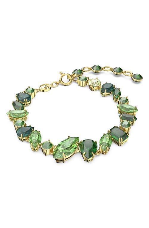 Swarovski Gema Green Crystal Flex Bracelet in Gold Tone Product Image