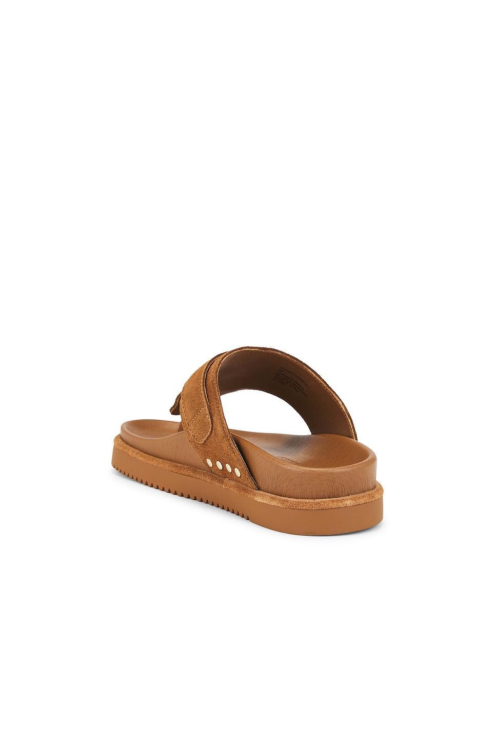 Thona Sandal Steve Madden Product Image