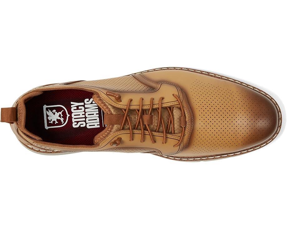 Edgewood Wing Tip Elastic Lace Product Image