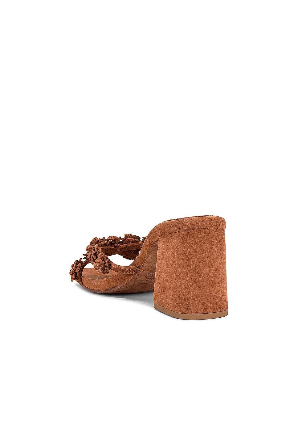 Ditzy Sandal Jeffrey Campbell Product Image