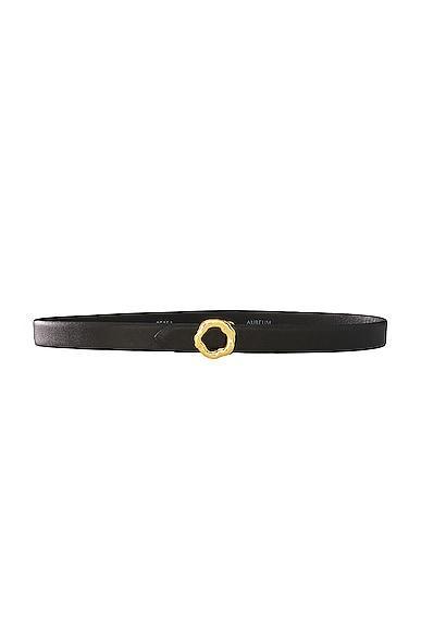 AUREUM Black & Gold Motif Belt Black. (also in ). Product Image