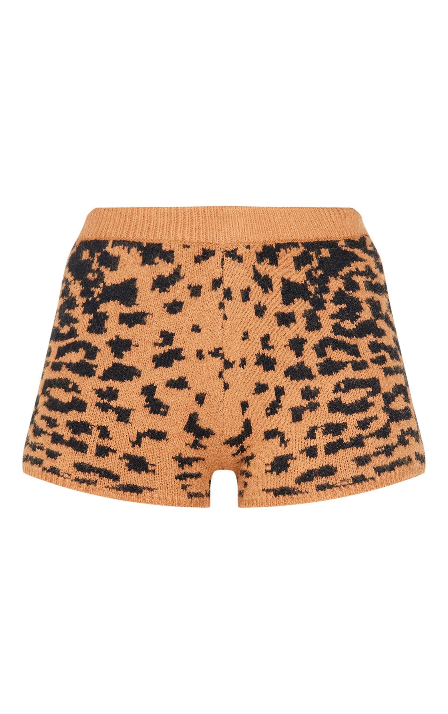 Leopard Print Textured Knit Hot Pants Product Image
