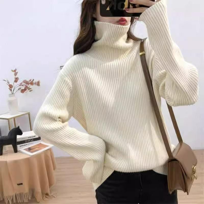 Turtleneck Plain Sweater Product Image