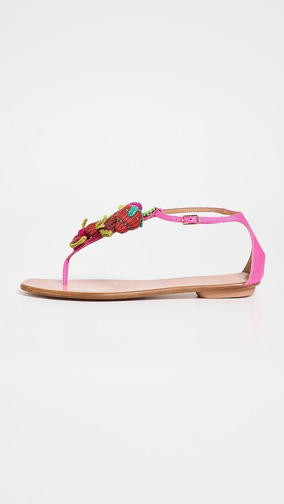 Aquazzura Strawberry Punch Sandals | Shopbop Product Image