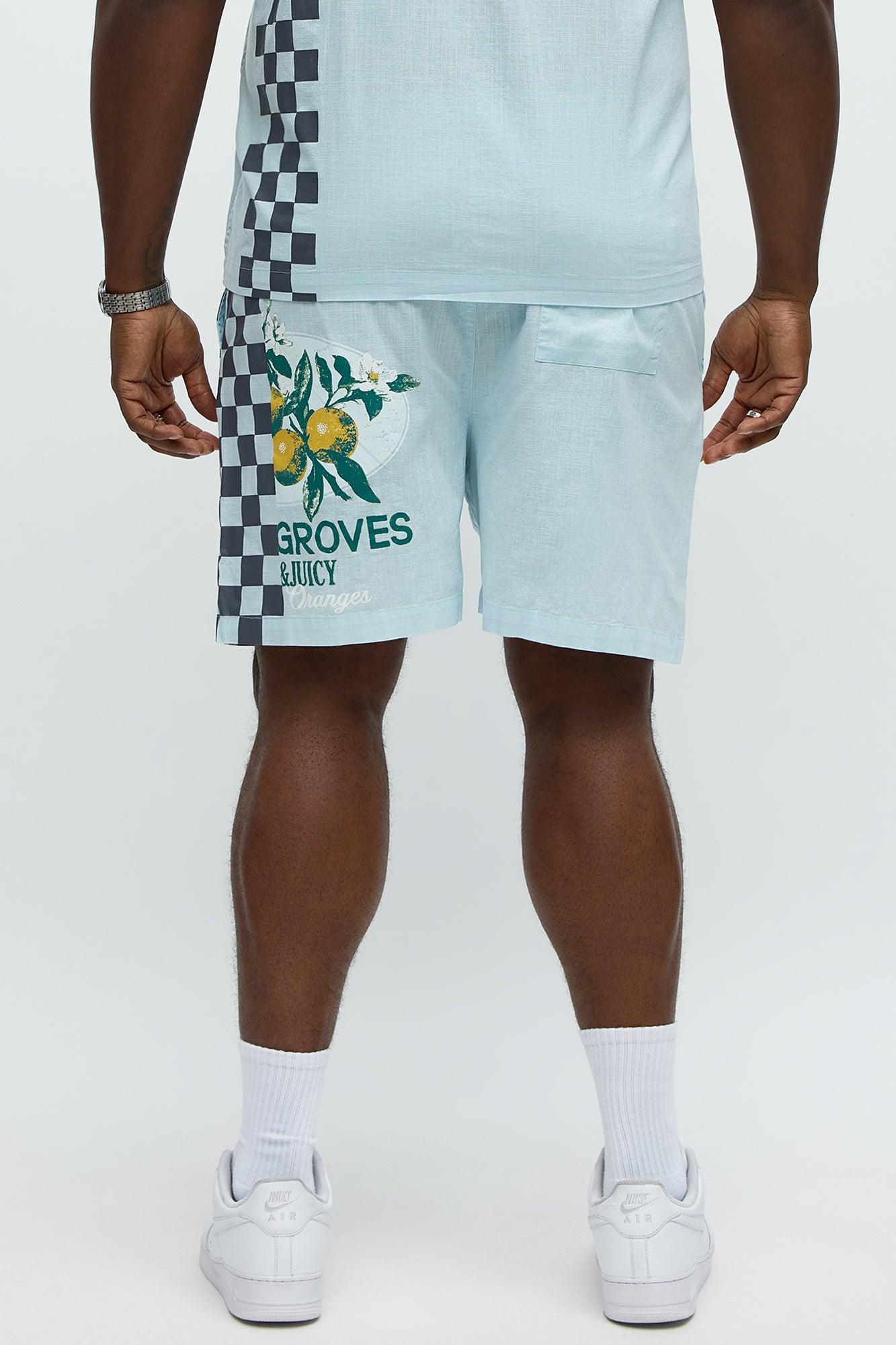 Groves Relaxed Drawstring Shorts - Light Blue Male Product Image
