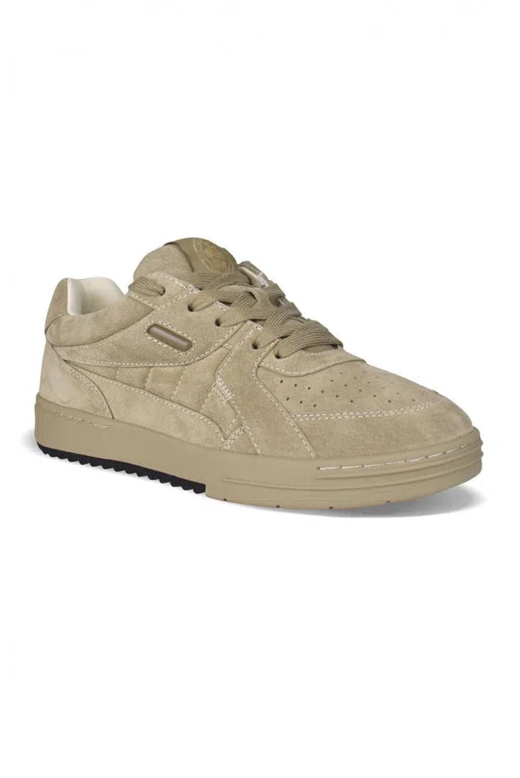 PALM ANGELS University Sneakers In Cream Product Image