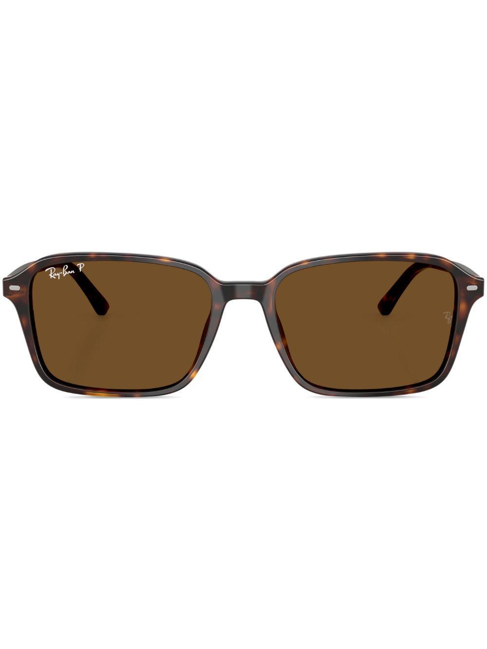 RAY BAN Ray-ban 56mm Polarized Square Sunglasses In Brown Product Image