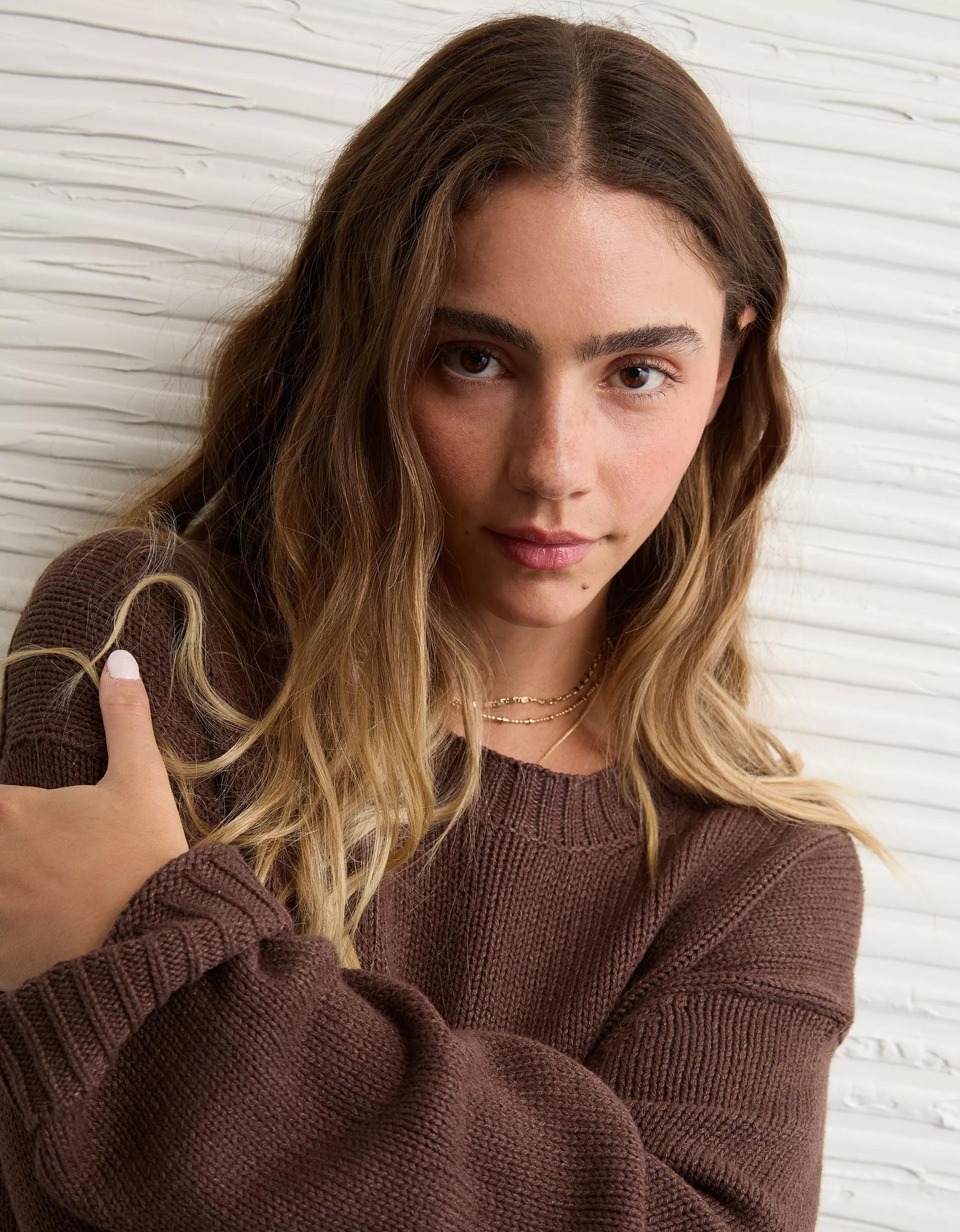 AE Long Weekend Pullover Sweater Product Image