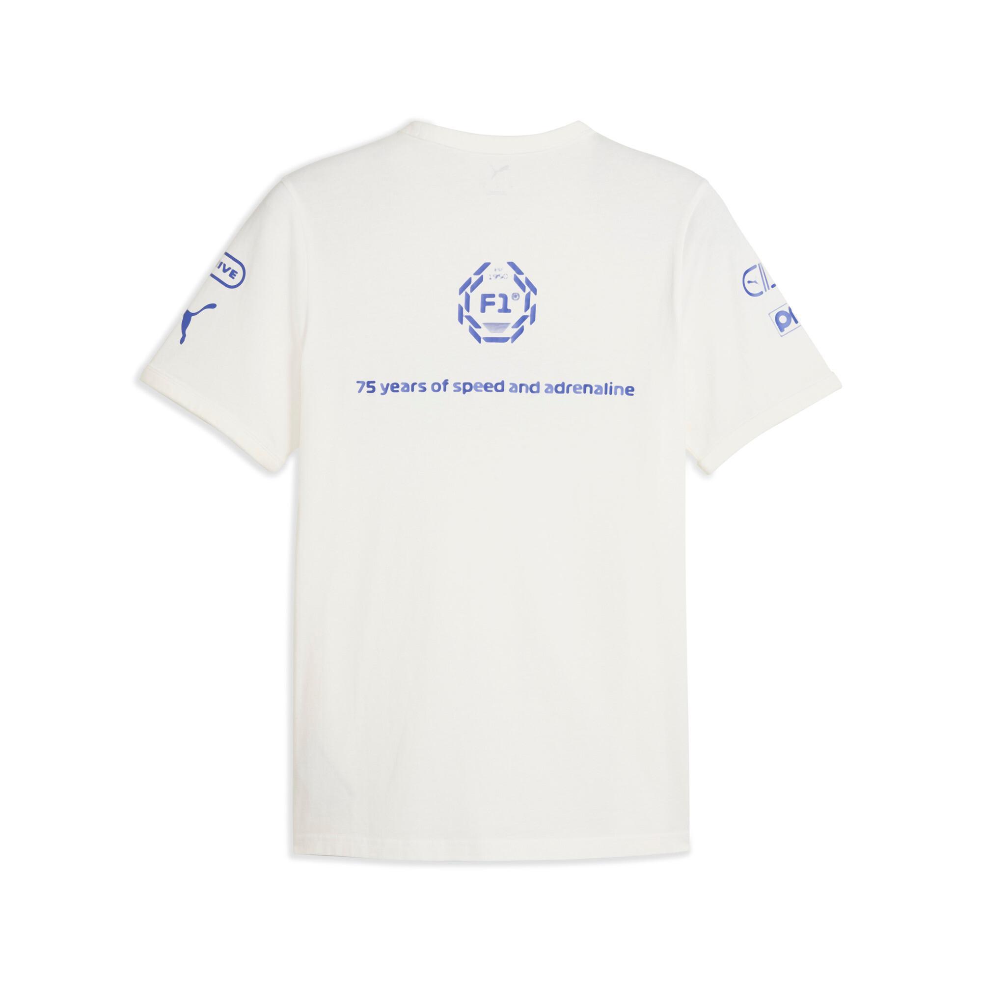 Formula 1® Men's Graphic Ringer Tee Product Image