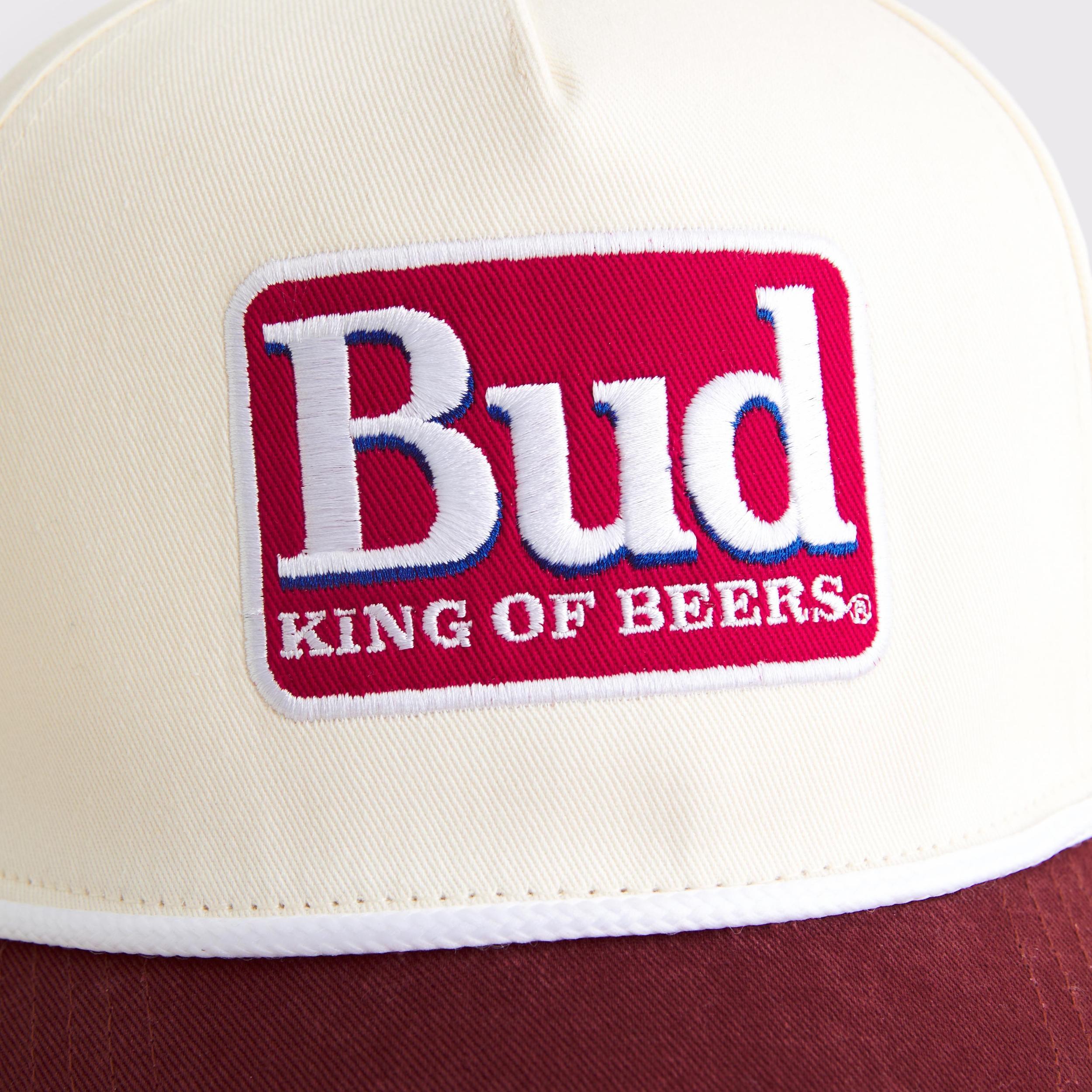 Guinness Snapback Hat Product Image