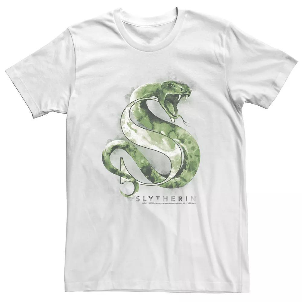 Big & Tall Harry Potter Slytherin House Watercolor Tee, Men's,  Product Image
