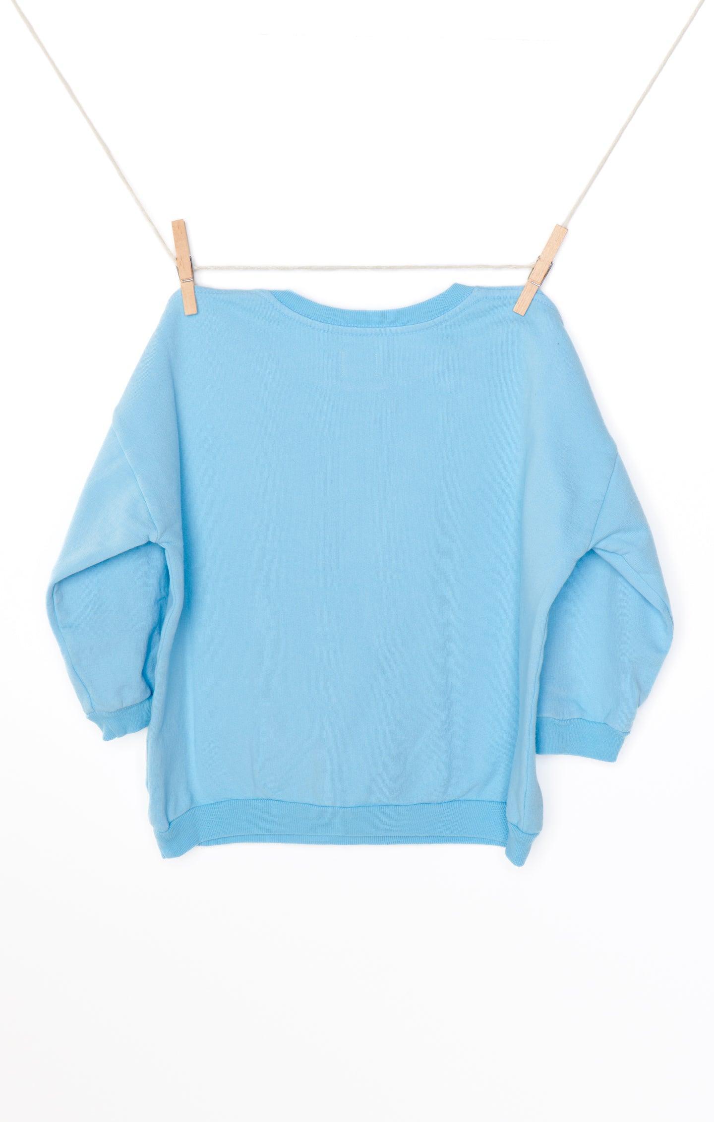 Davis Sweatshirt ~ Blue Mini Graphic Kids Product Image