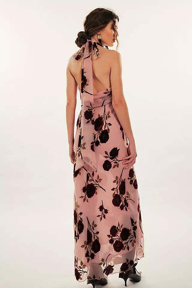 For Love & Lemons Rose Velvet Halter Maxi Product Image