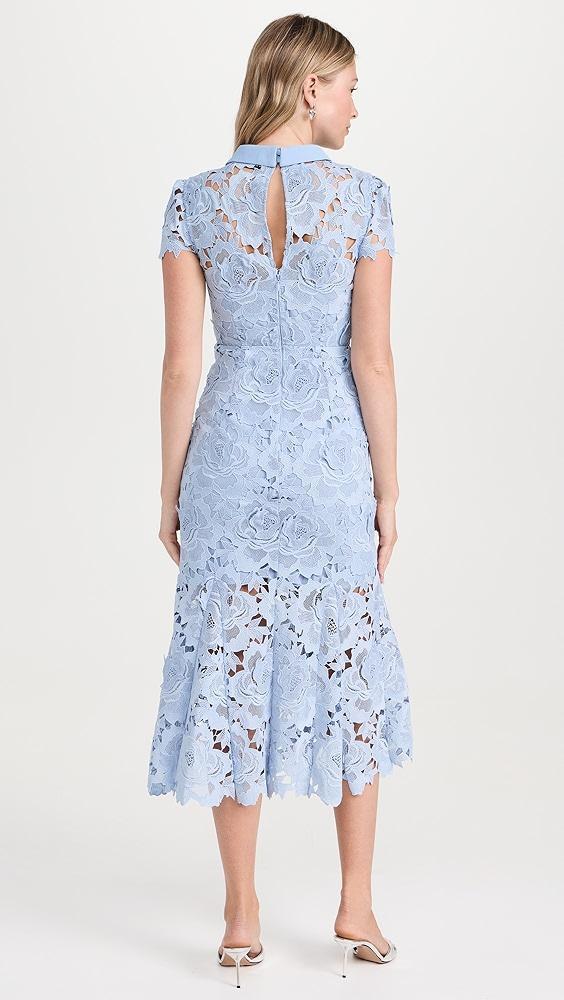 Self Portrait Blue Flower Lace Contrast Collar Midi Dress | Shopbop Product Image