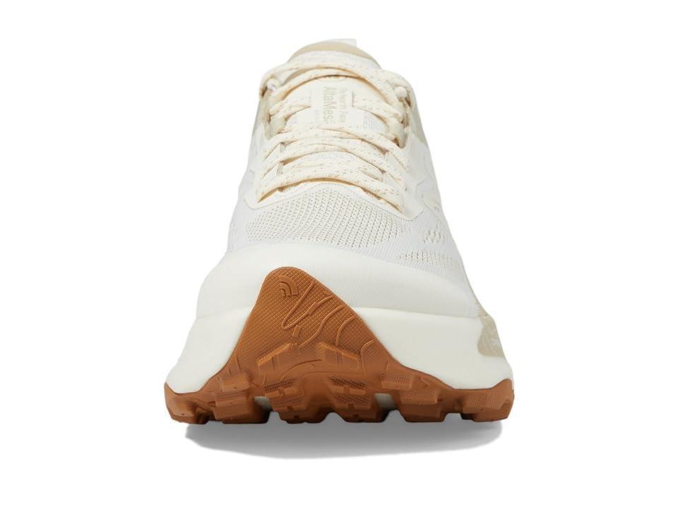 The North Face Altamesa 500 Dune/Gravel) Men's Shoes Product Image