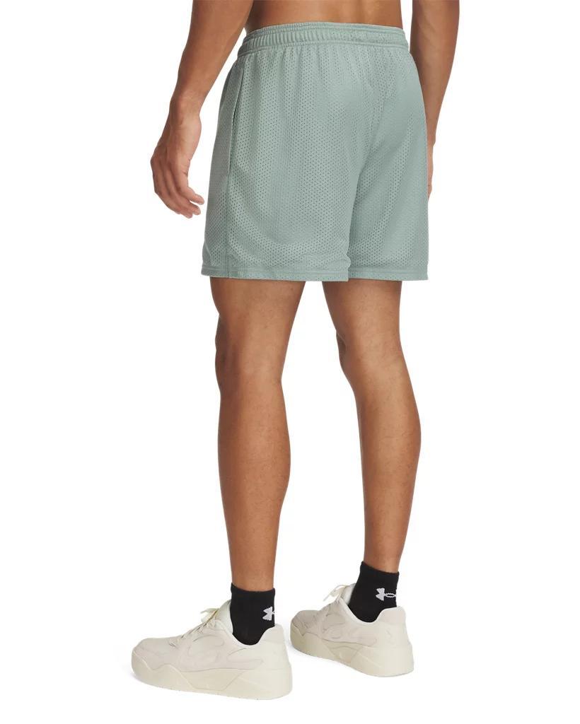 Men's UA Icon Mesh Shorts Product Image