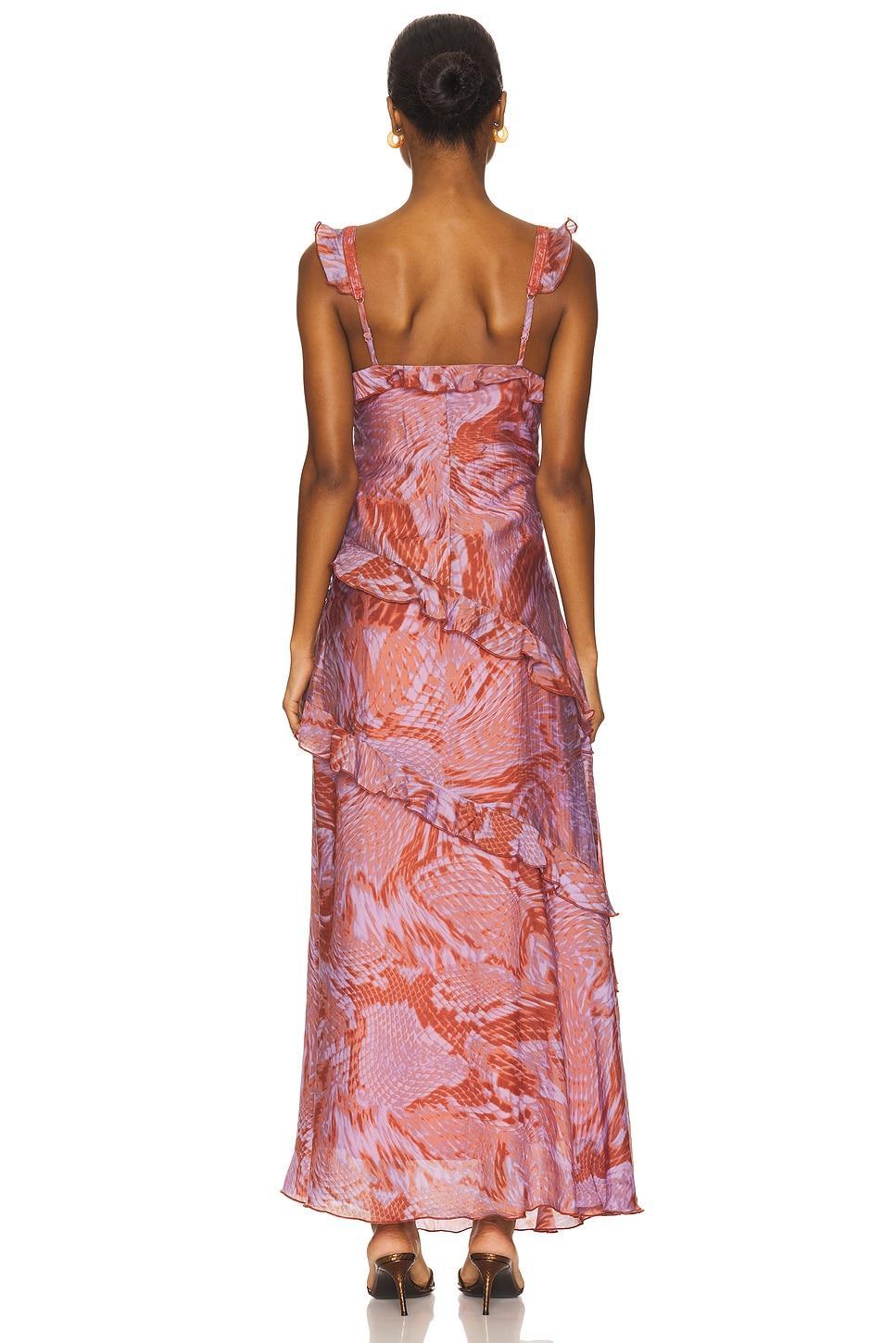 Versailles Dress Steve Madden Product Image