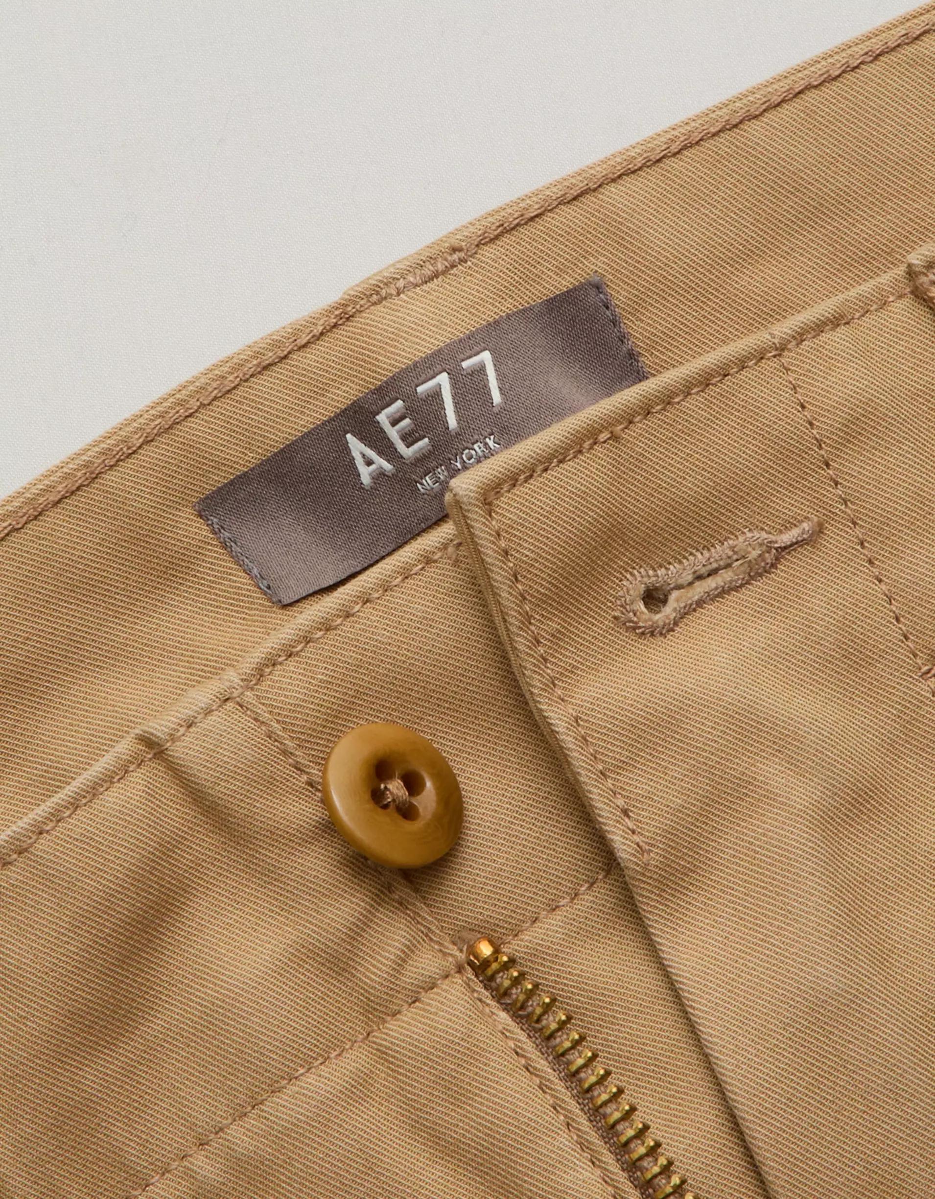 AE77 Premium Cargo Pant Product Image