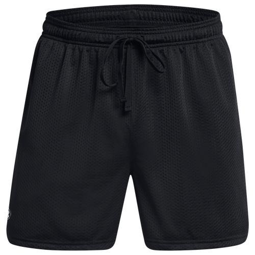 Mens UA Icon Mesh Shorts Product Image