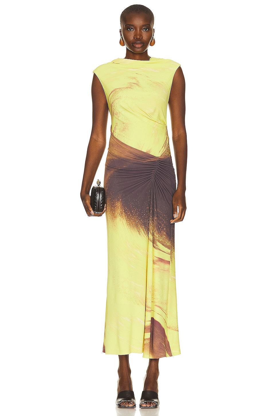 Simkhai Acacia Printed Maxi Dress Product Image