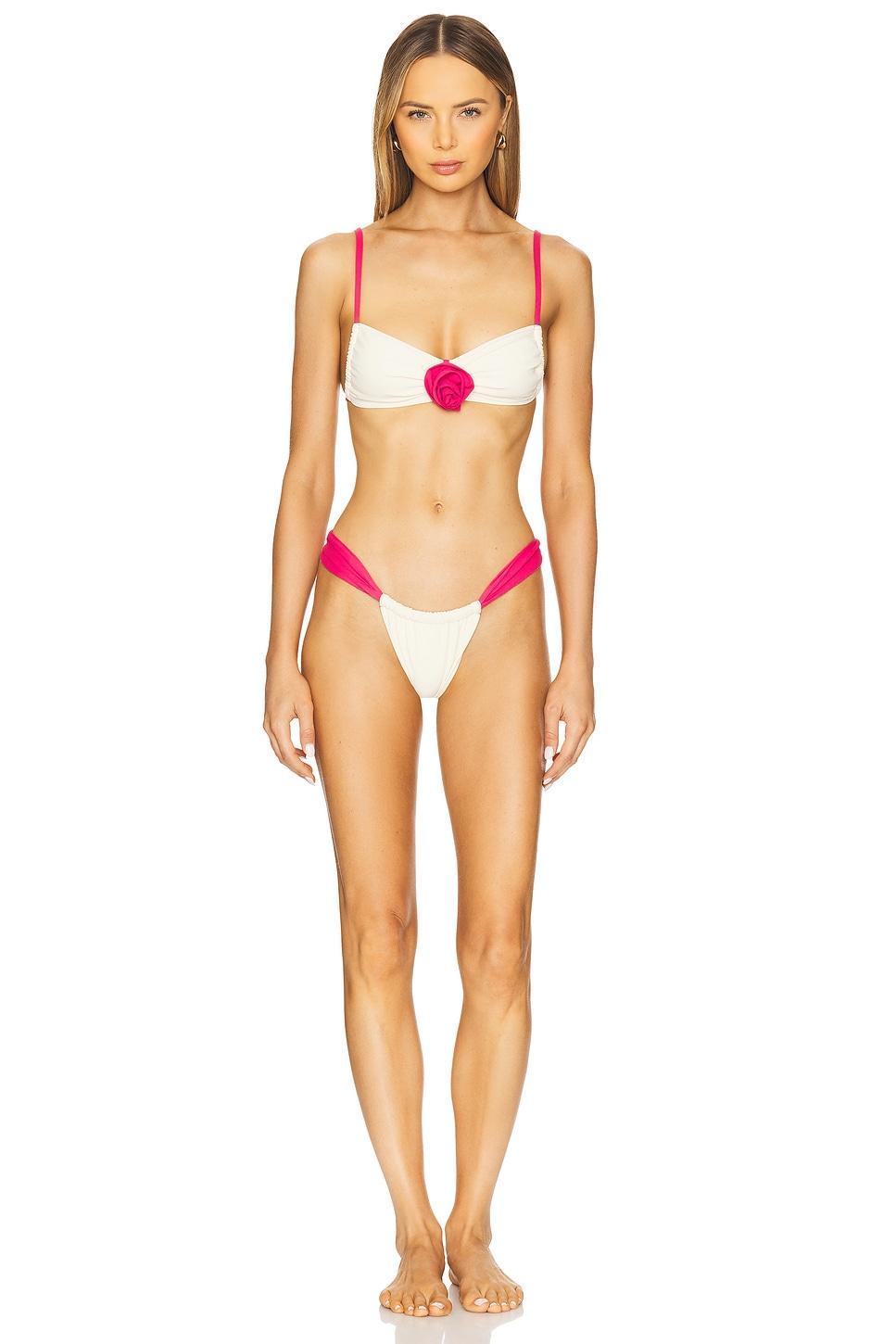 Sandra Bikini Bottom Montce Swim Product Image