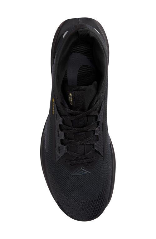 NIKE Pegasus Trail 5 Rubber-trimmed Gore-tex Running Sneakers In Black Product Image