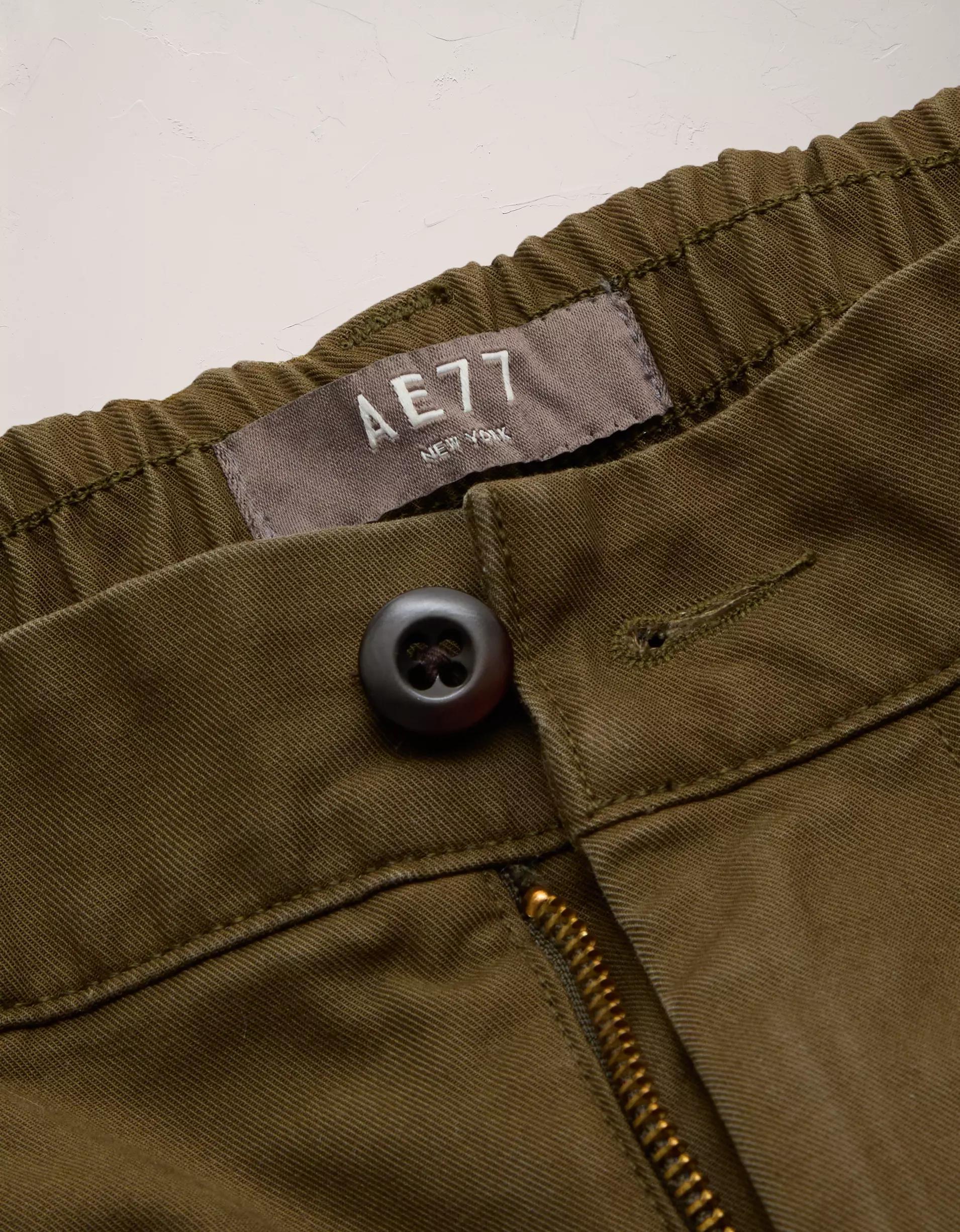 AE77 Premium Cotton Canvas Pant Product Image