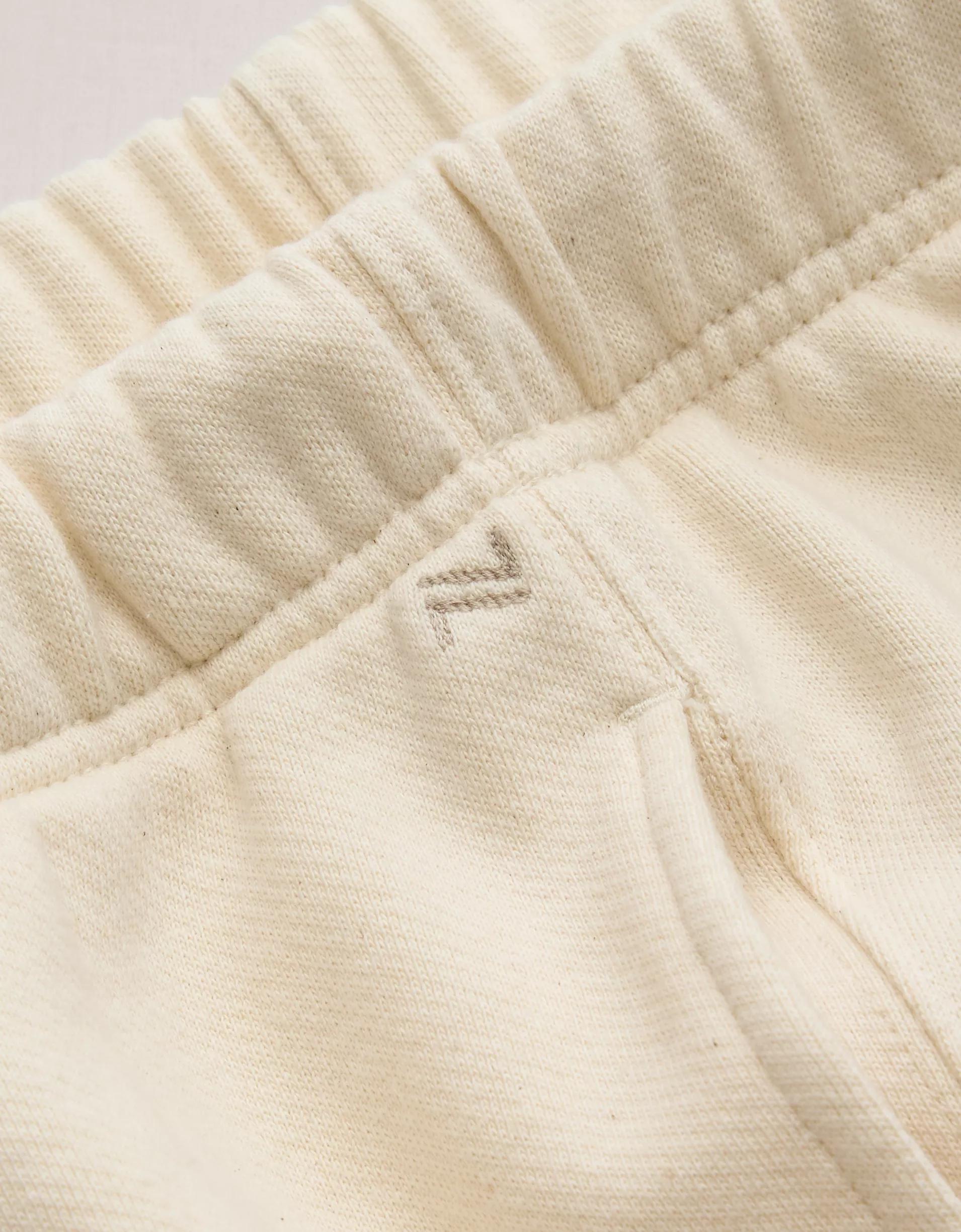 AE77 Premium Fleece Jogger Product Image