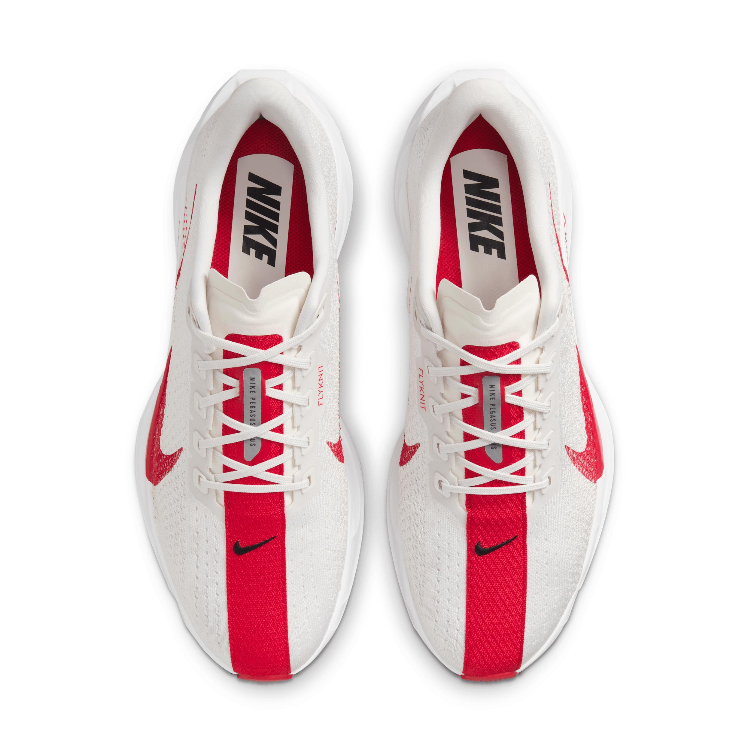 Nike Men's Pegasus Plus Road Running Shoes Product Image