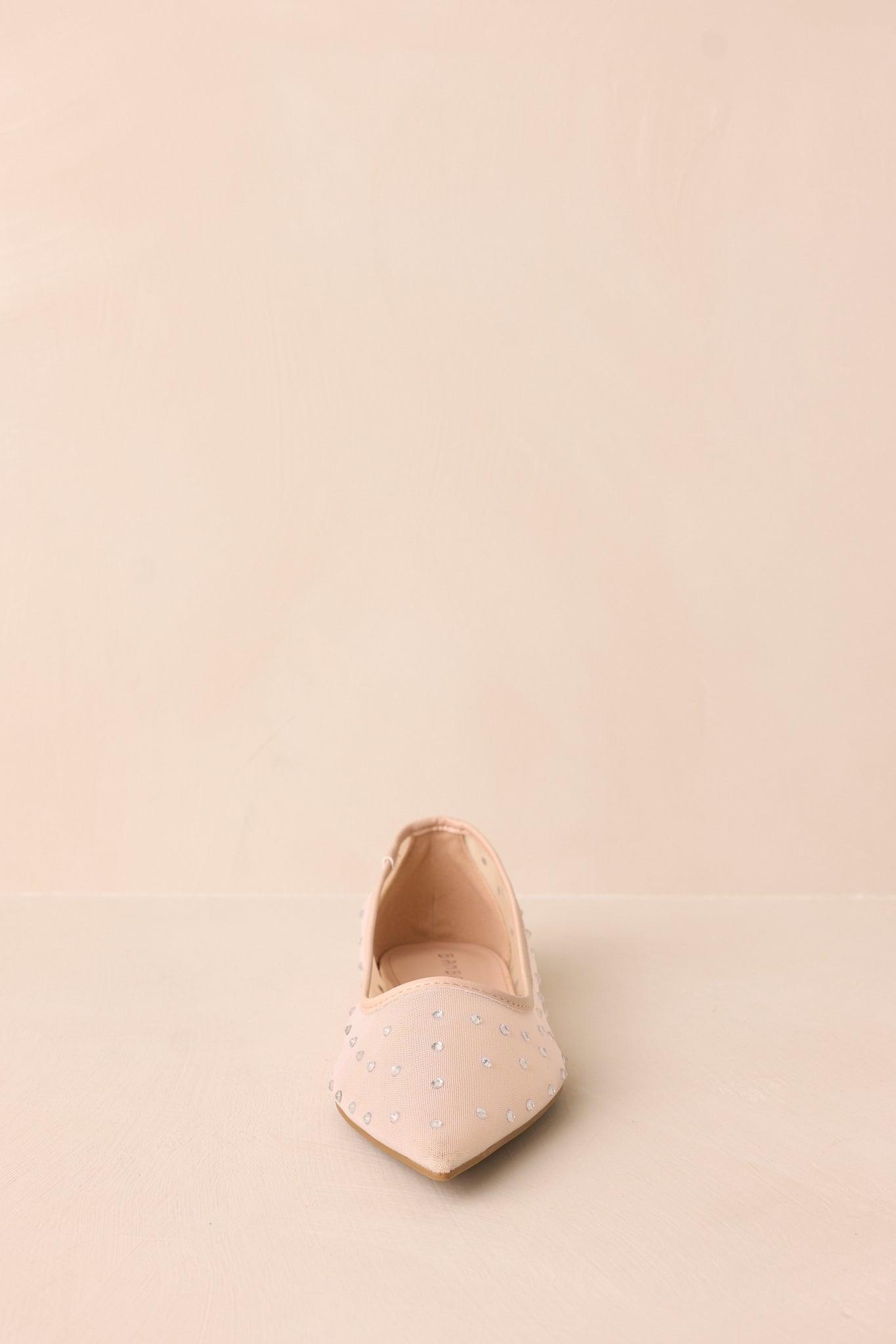 Shining Bright Nude Pointed Toe Mesh Ballet Flats Product Image