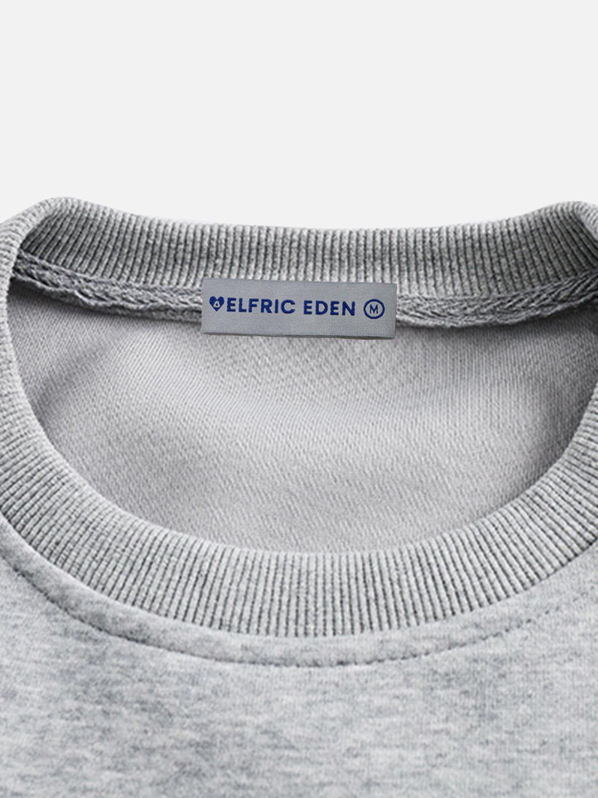 Aelfric Eden Leopard Graphic Pocket Sweatshirt Product Image