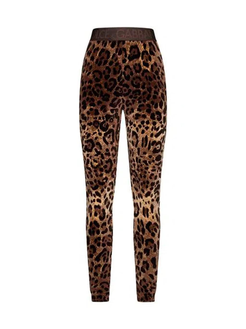 DOLCE & GABBANA Leopard-print Jacquard Leggings Product Image