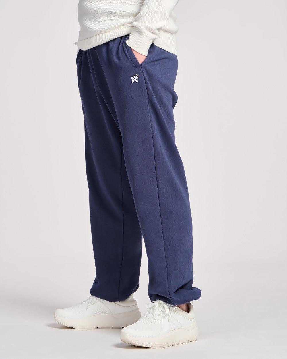 Bd Icon Sweatpant Male Product Image