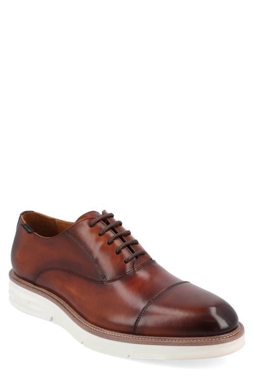 Taft 365 Model 102 Mens Oxford Shoes Product Image